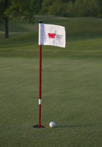 backyard putting green flags