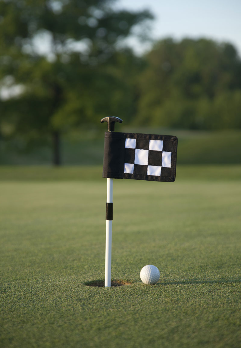 Mini Putting Green Flags