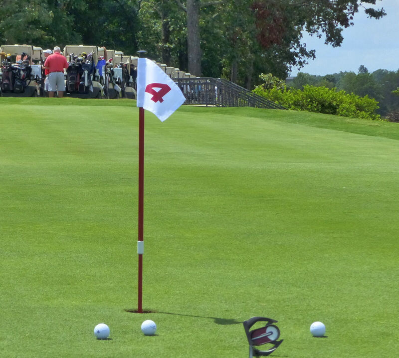 practice green flagsticks