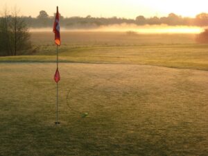 putting green for backyard