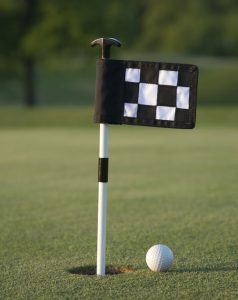 Mini Golf Hole Flags